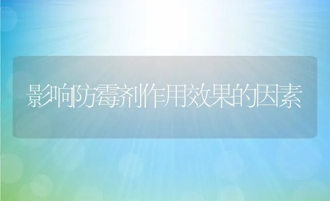 葡萄糖做兔饲料添加剂效果好 | 动物养殖饲料