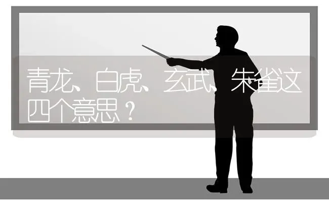 为什么猫咪尾巴毛变少？ | 动物养殖问答