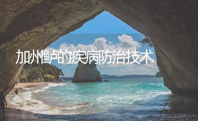 加州鲈的疾病防治技术 | 海水养殖技术