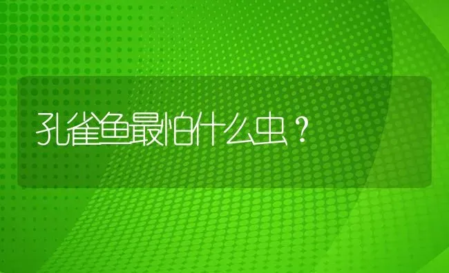 孔雀鱼最怕什么虫？ | 鱼类宠物饲养