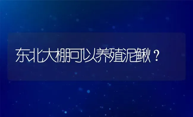 东北大棚可以养殖泥鳅？ | 动物养殖百科