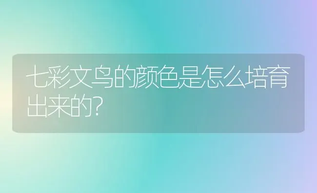 七彩文鸟的颜色是怎么培育出来的？ | 动物养殖问答