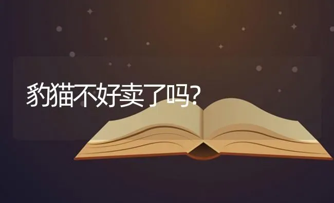 豹猫不好卖了吗？ | 动物养殖问答