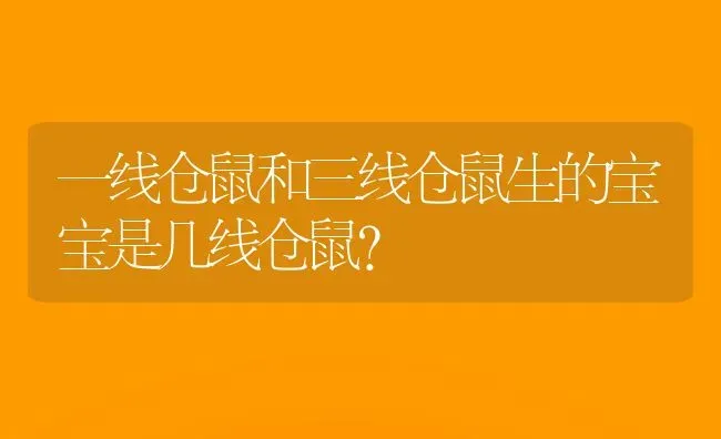 一线仓鼠和三线仓鼠生的宝宝是几线仓鼠？ | 动物养殖问答