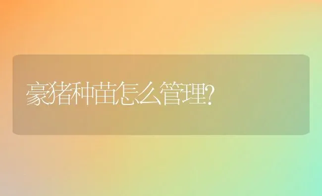 豪猪种苗怎么管理？ | 动物养殖百科