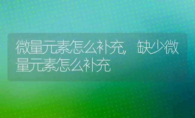 微量元素怎么补充,缺少微量元素怎么补充 | 宠物百科知识