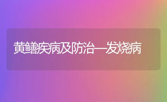 黄鳝疾病及防治―发烧病 | 水产养殖知识