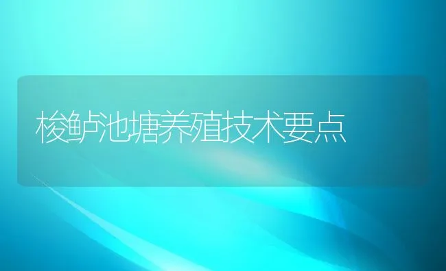 梭鲈池塘养殖技术要点 | 动物养殖饲料