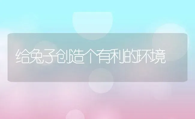 给兔子创造个有利的环境 | 动物养殖教程