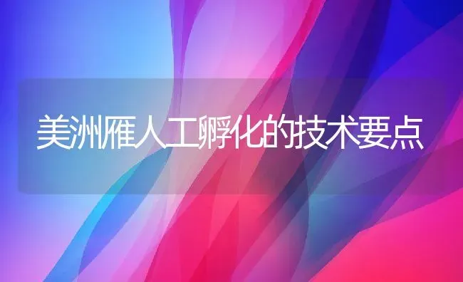 美洲雁人工孵化的技术要点 | 动物养殖教程