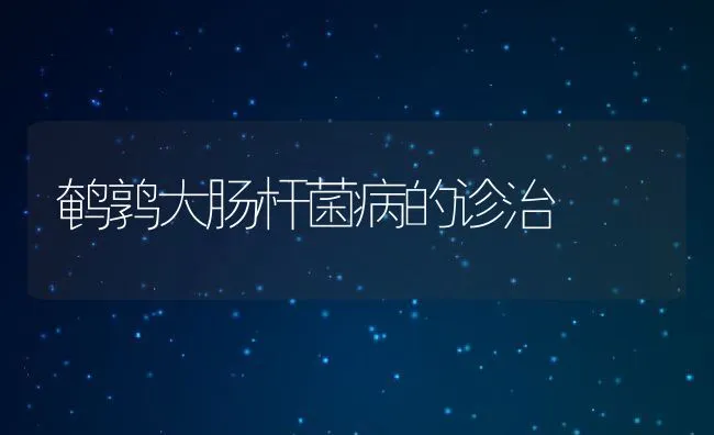 鹌鹑大肠杆菌病的诊治 | 动物养殖学堂