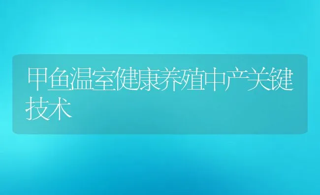 甲鱼温室健康养殖中产关键技术 | 动物养殖饲料