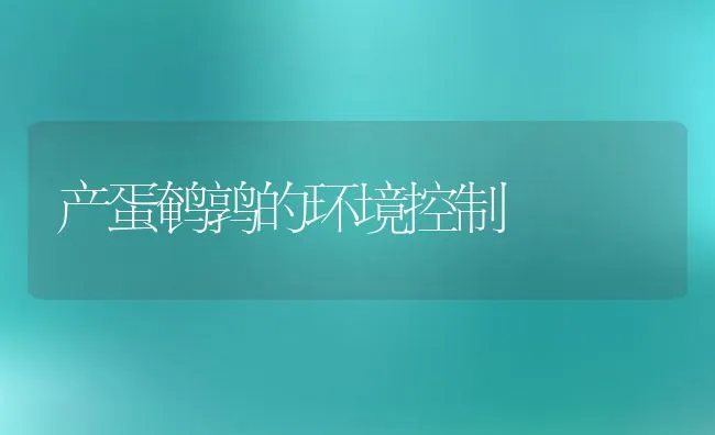 黄鳝四大疾病生态防治法 | 动物养殖学堂