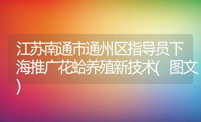 江苏南通市通州区指导员下海推广花蛤养殖新技术(图文) | 动物养殖饲料