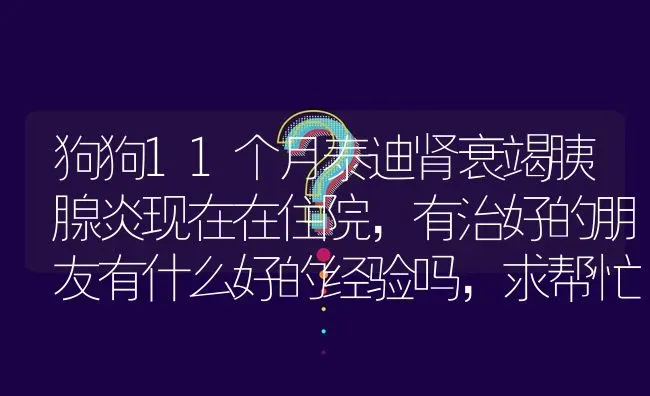 狗狗11个月泰迪肾衰竭胰腺炎现在在住院，有治好的朋友有什么好的经验吗，求帮忙，急死了？ | 动物养殖问答