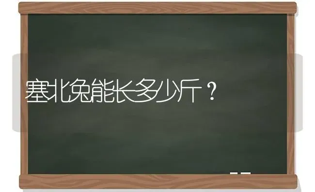 塞北兔能长多少斤？ | 动物养殖问答