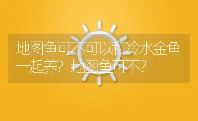 地图鱼可不可以和冷水金鱼一起养?地图鱼可不？ | 鱼类宠物饲养