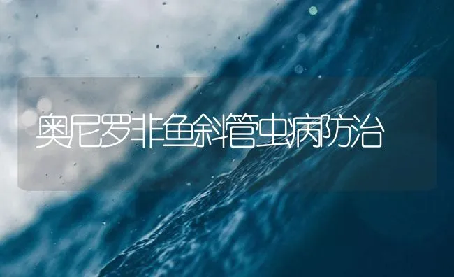 奥尼罗非鱼斜管虫病防治 | 海水养殖技术