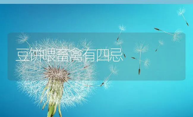 豆饼喂畜禽有四忌 | 动物养殖学堂