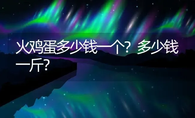 火鸡蛋多少钱一个？多少钱一斤？ | 动物养殖百科