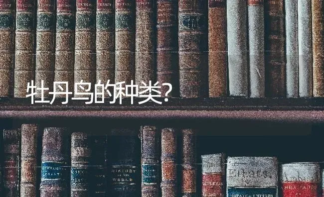 牡丹鸟的种类？ | 动物养殖问答