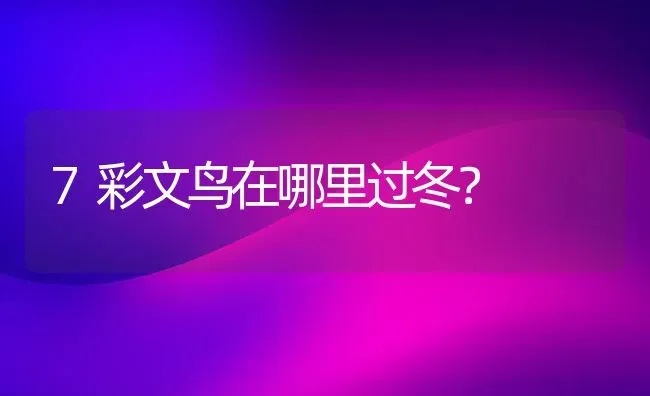 7彩文鸟在哪里过冬？ | 动物养殖问答