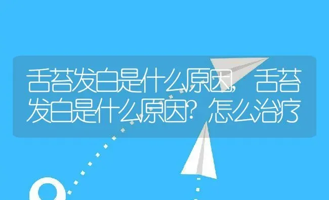 舌苔发白是什么原因,舌苔发白是什么原因?怎么治疗 | 宠物百科知识