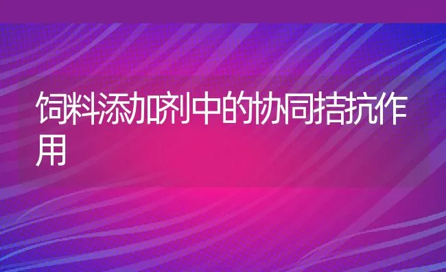 饲料添加剂中的协同拮抗作用 | 动物养殖学堂