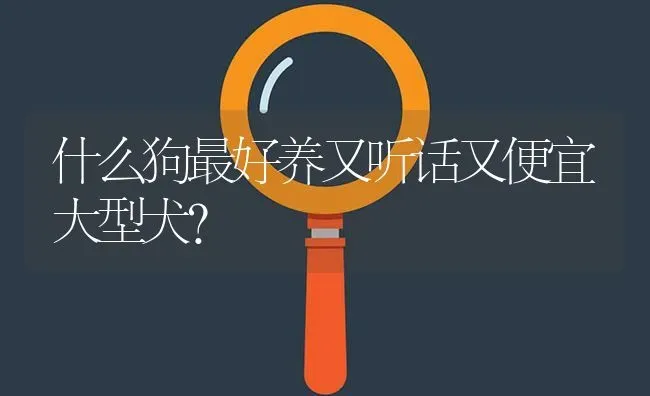 什么狗最好养又听话又便宜大型犬？ | 动物养殖问答