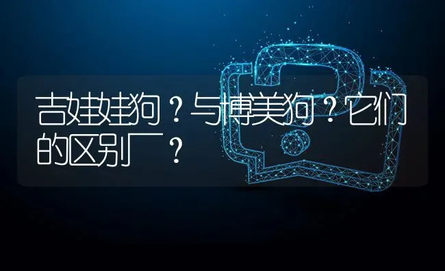 吉娃娃狗？与博美狗？它们的区别～？ | 动物养殖问答