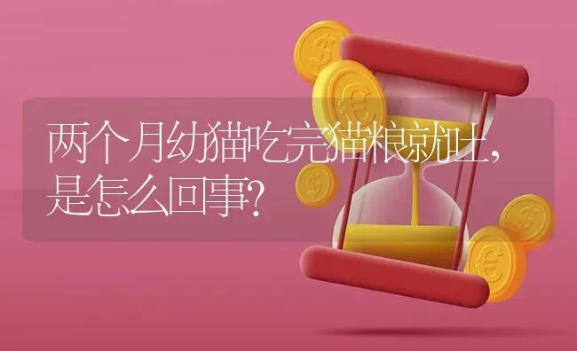 两个月幼猫吃完猫粮就吐，是怎么回事？ | 动物养殖问答