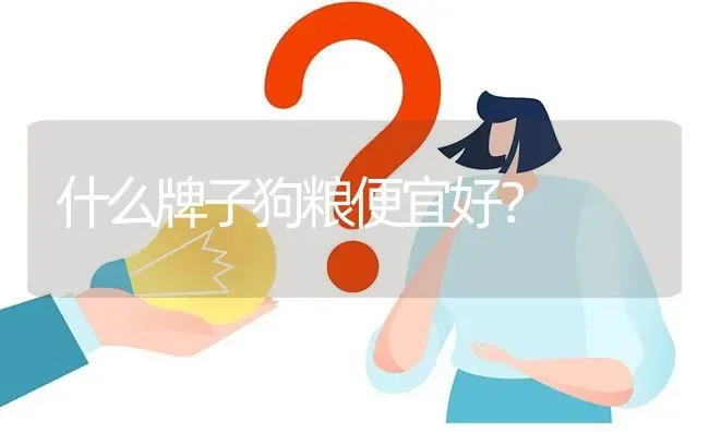 什么牌子狗粮便宜好？ | 动物养殖问答