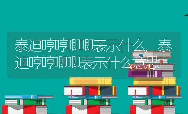 泰迪哼哼唧唧表示什么,泰迪哼哼唧唧表示什么意思 | 宠物百科知识