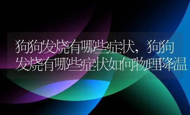 狗狗发烧有哪些症状,狗狗发烧有哪些症状如何物理降温 | 宠物百科知识