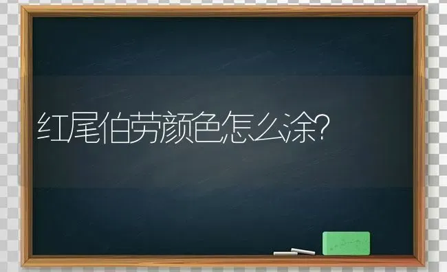 红尾伯劳颜色怎么涂？ | 动物养殖问答