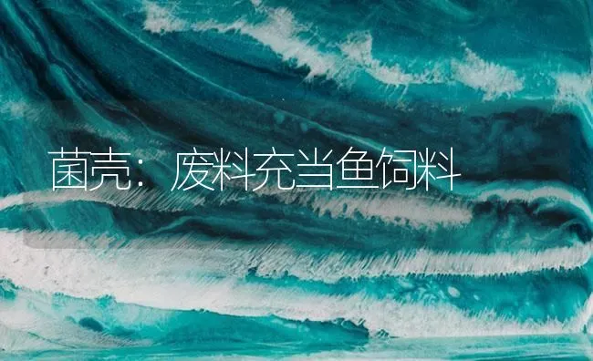 菌壳：废料充当鱼饲料 | 海水养殖技术