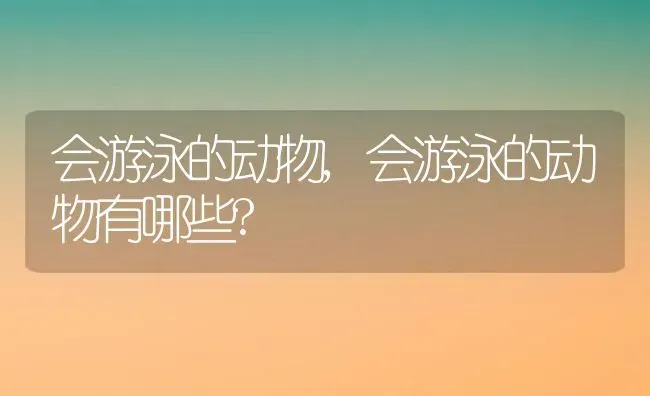 会游泳的动物,会游泳的动物有哪些? | 宠物百科知识