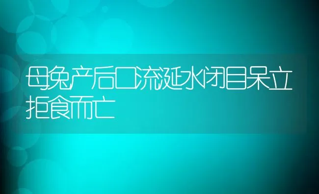 母兔产后口流涎水闭目呆立拒食而亡 | 动物养殖学堂