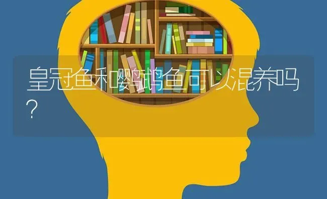 皇冠鱼和鹦鹉鱼可以混养吗？ | 鱼类宠物饲养