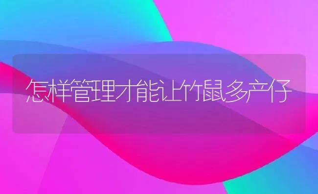 怎样管理才能让竹鼠多产仔 | 动物养殖教程