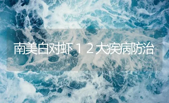 南美白对虾１２大疾病防治 | 海水养殖技术