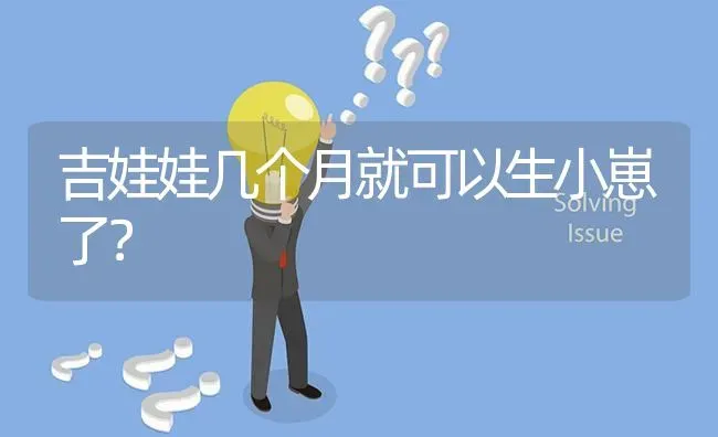 吉娃娃几个月就可以生小崽了？ | 动物养殖问答