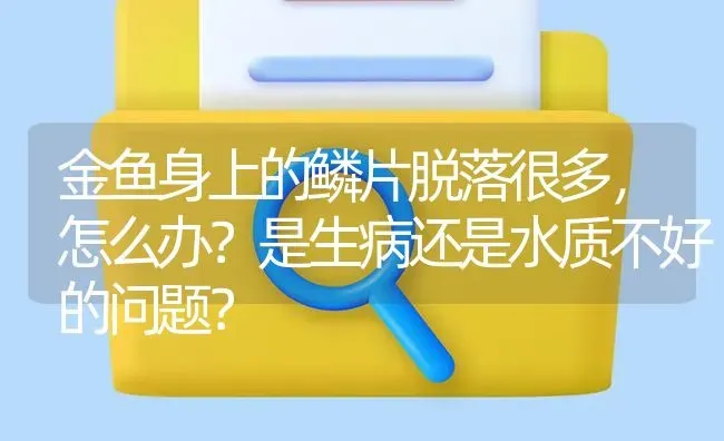 金鱼身上的鳞片脱落很多，怎么办？是生病还是水质不好的问题？ | 鱼类宠物饲养