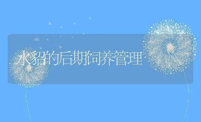 水貂的后期饲养管理 | 动物养殖教程