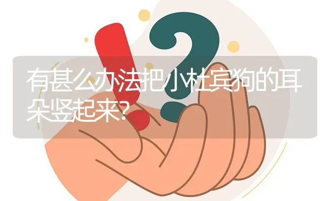 有甚么办法把小杜宾狗的耳朵竖起来？ | 动物养殖问答