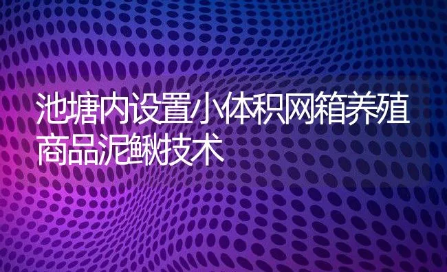 池塘内设置小体积网箱养殖商品泥鳅技术 | 动物养殖学堂