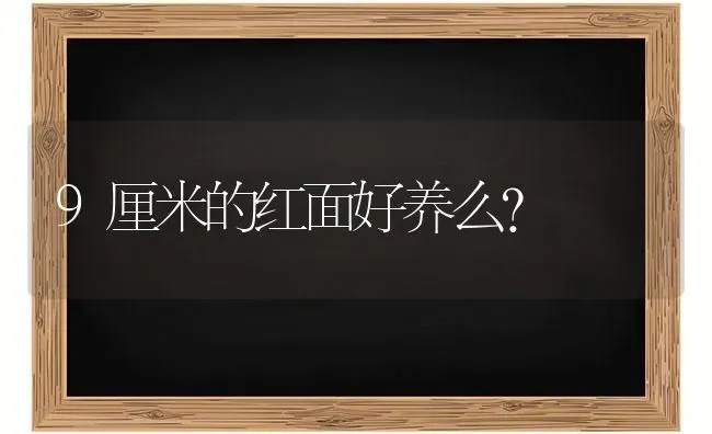 9厘米的红面好养么？ | 动物养殖问答