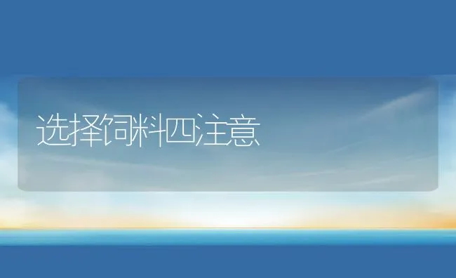 选择饲料四注意 | 动物养殖饲料