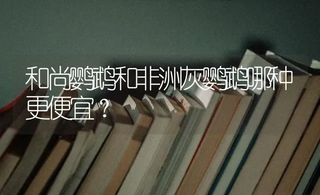 和尚鹦鹉和非洲灰鹦鹉哪种更便宜？ | 动物养殖问答