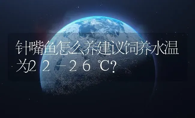 针嘴鱼怎么养建议饲养水温为22-26℃？ | 鱼类宠物饲养